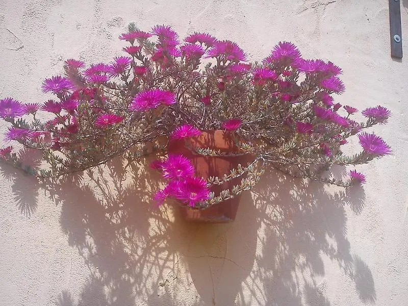 Boutique Hostal Lorca Nerja Πανσιόν